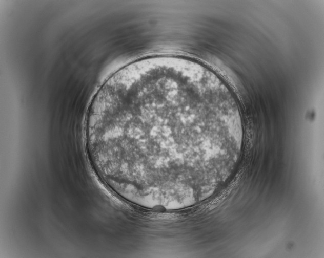 X0000097881382200804110938