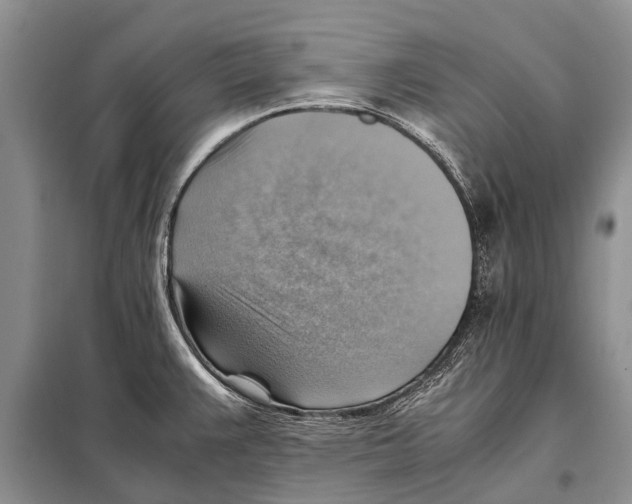 X0000097881383200804110938