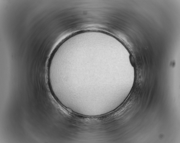 X0000097881384200804110938