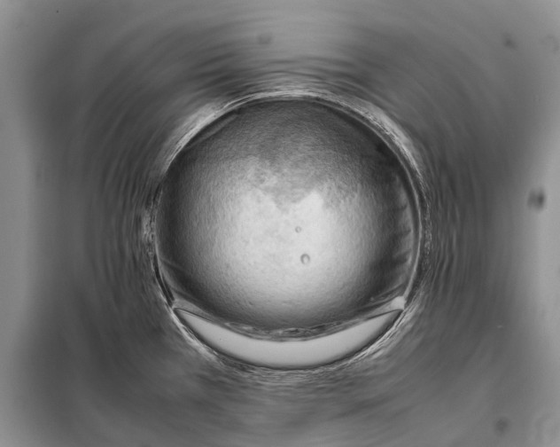 X0000097881385200804110938