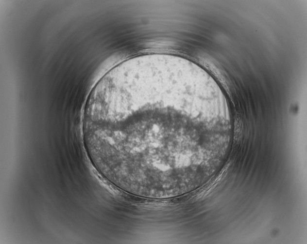 X0000097881386200804110938