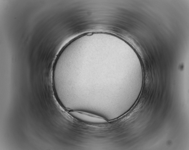 X0000097881388200804110938