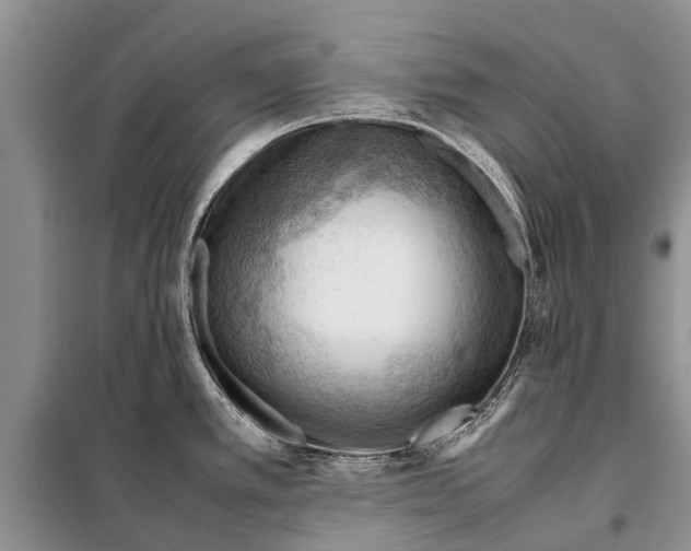 X0000097881389200804110938