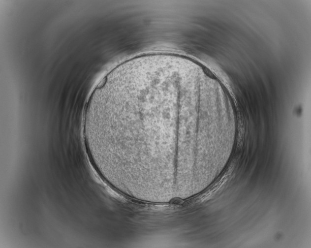 X0000097881390200804110938