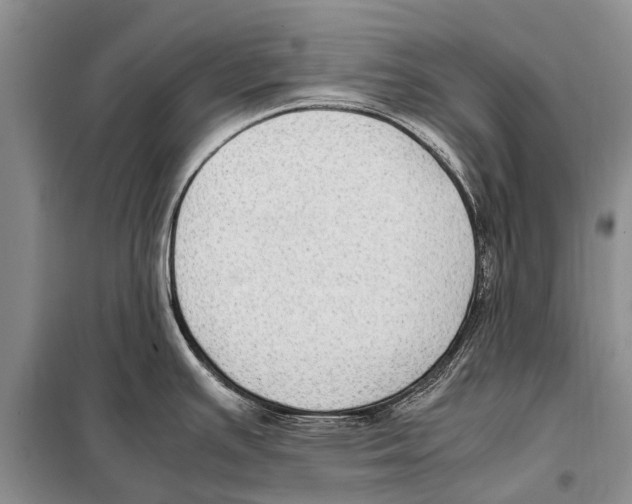 X0000097881391200804110938