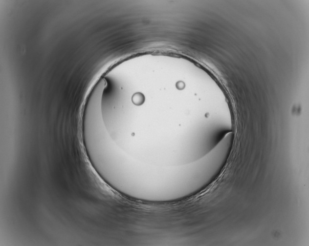 X0000097881392200804110938