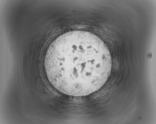 X0000097881393200804110937