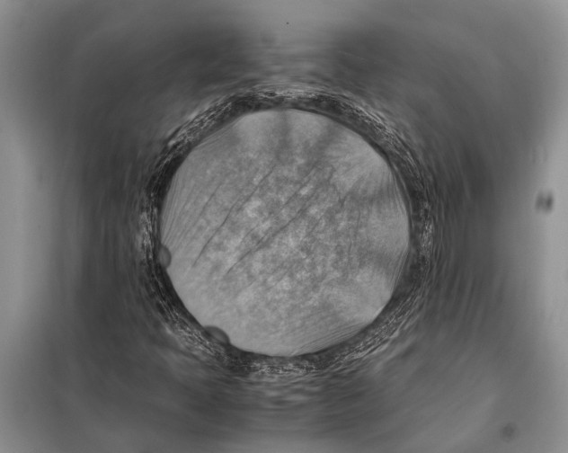 X0000097881397200804110937