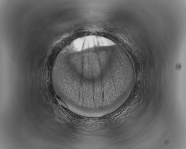 X0000097881398200804110937