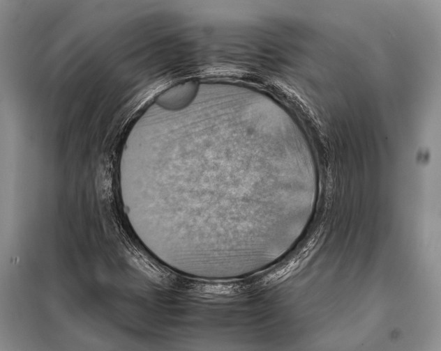 X0000097881401200804110937