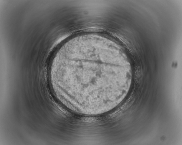 X0000097881402200804110937