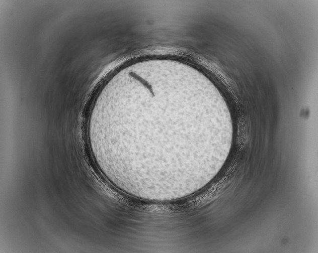 X0000097881404200804110938