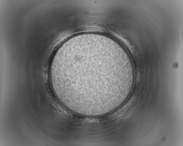 X0000097881407200804110938