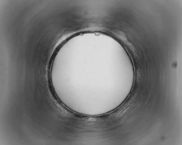 X0000097881412200804110938