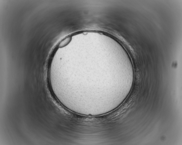 X0000097881416200804110938