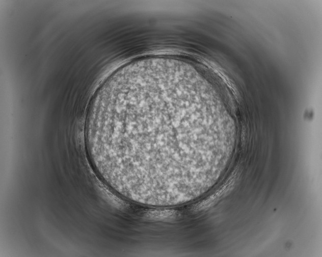 X0000097881417200804110938