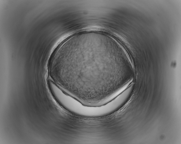 X0000097881418200804110938