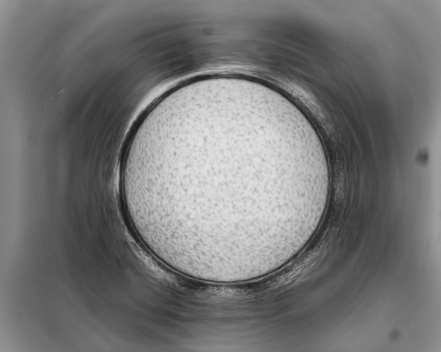 X0000097881420200804110938