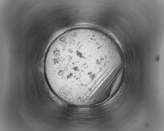 X0000097881421200804110938