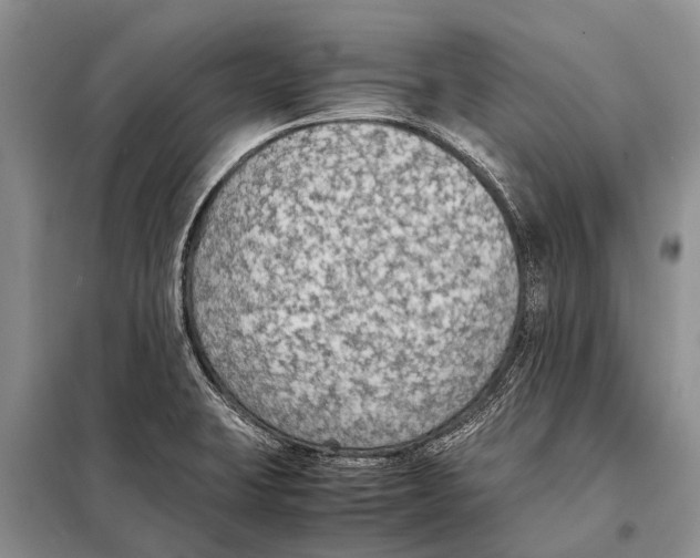 X0000097881423200804110938