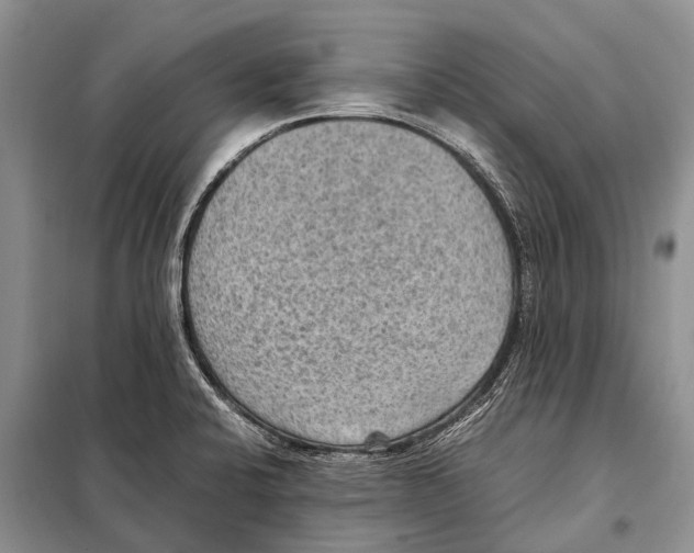 X0000097881424200804110938