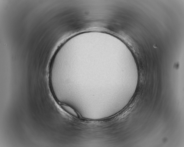 X0000097881430200804110938