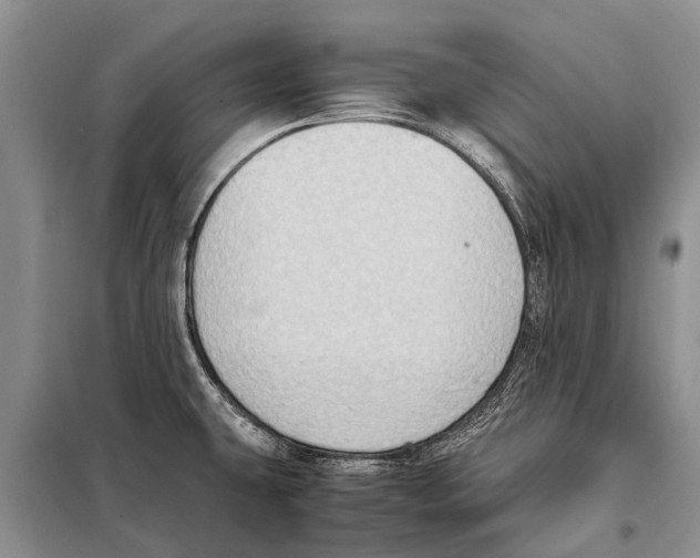 X0000097881431200804110938