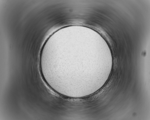 X0000097881432200804110938