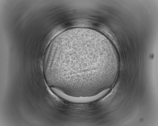 X0000097881433200804110938