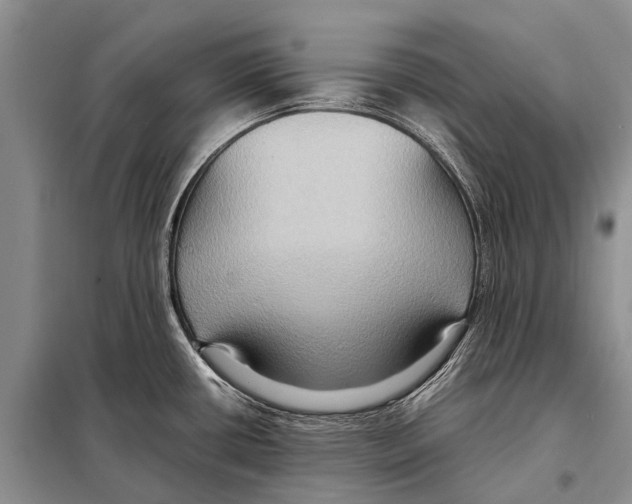 X0000097881434200804110938