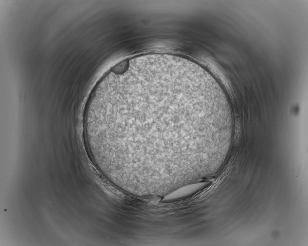 X0000097881435200804110938