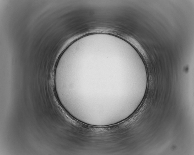 X0000097881436200804110938