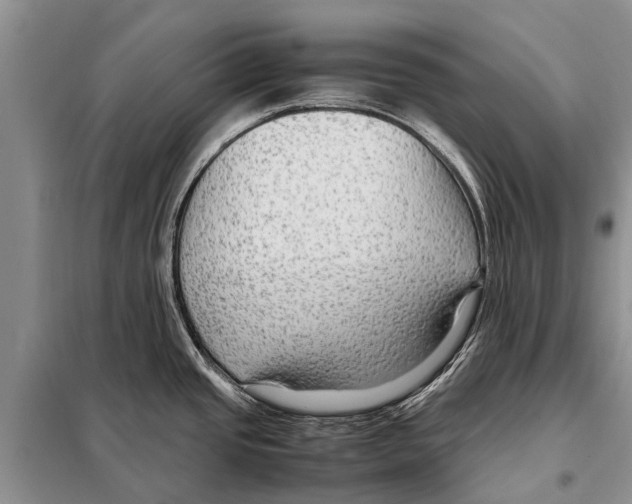 X0000097881437200804110938