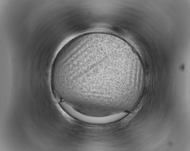 X0000097881438200804110938