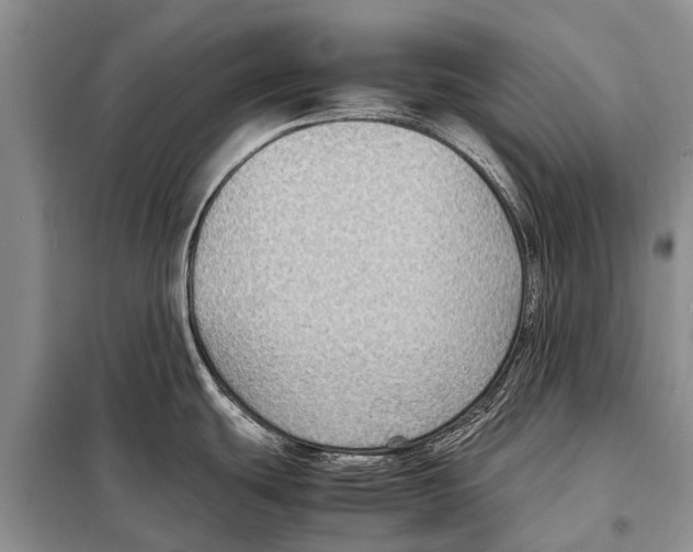 X0000097881439200804110938