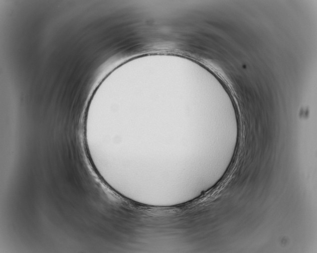 X0000097881440200804110938