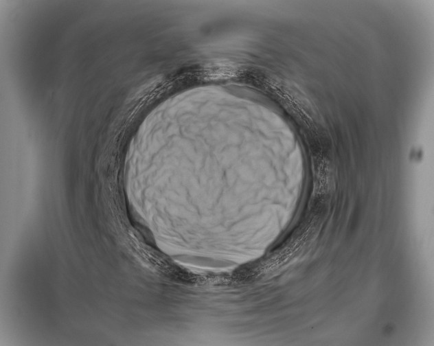 X0000097881441200804110937