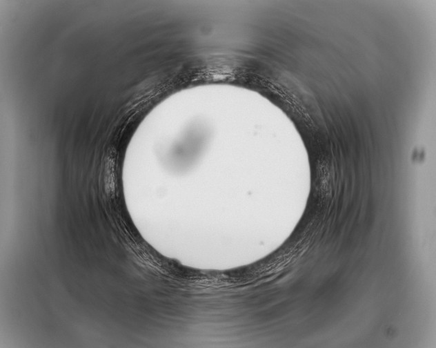 X0000097881442200804110937