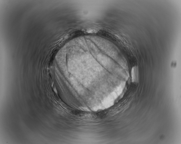 X0000097881443200804110937