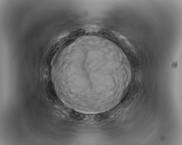 X0000097881445200804110937