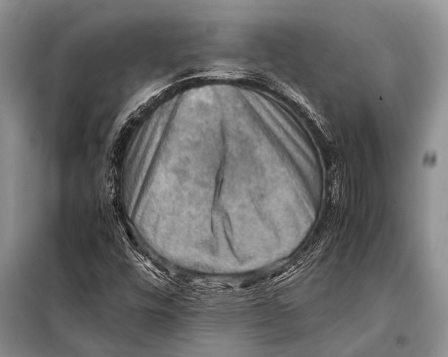 X0000097881448200804110937