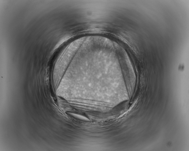 X0000097881450200804110937