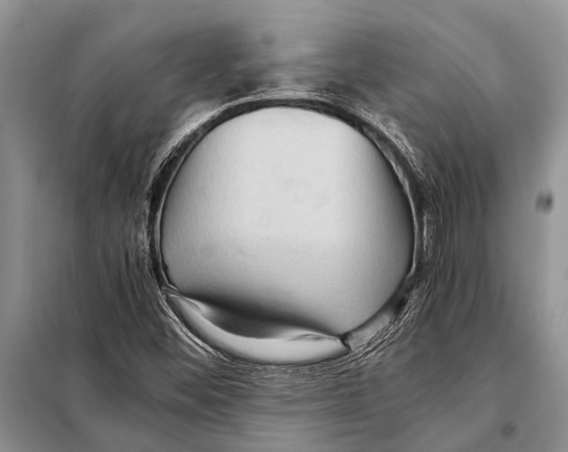 X0000097881452200804110937