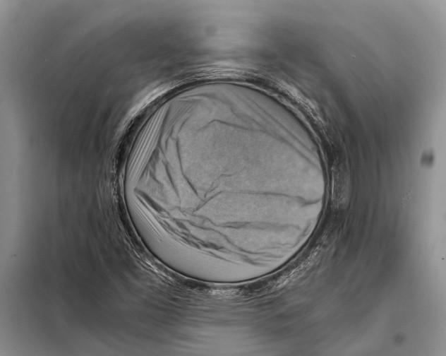 X0000097881453200804110937