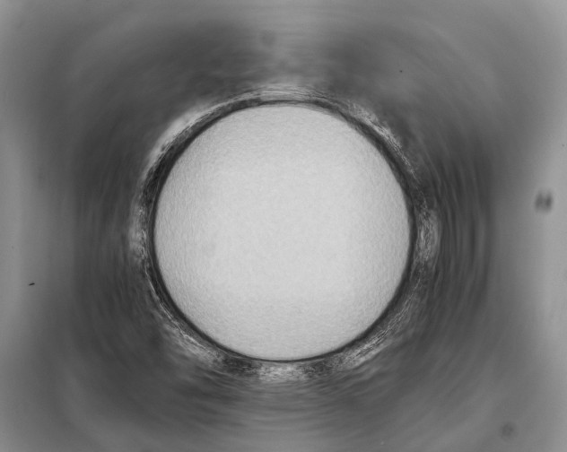 X0000097881454200804110937