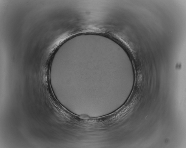 X0000097881455200804110937