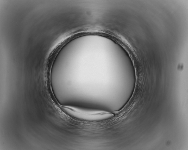 X0000097881456200804110937