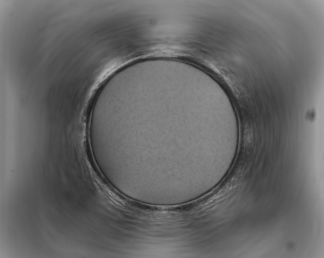 X0000097881459200804110937