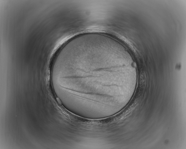 X0000097881461200804110937