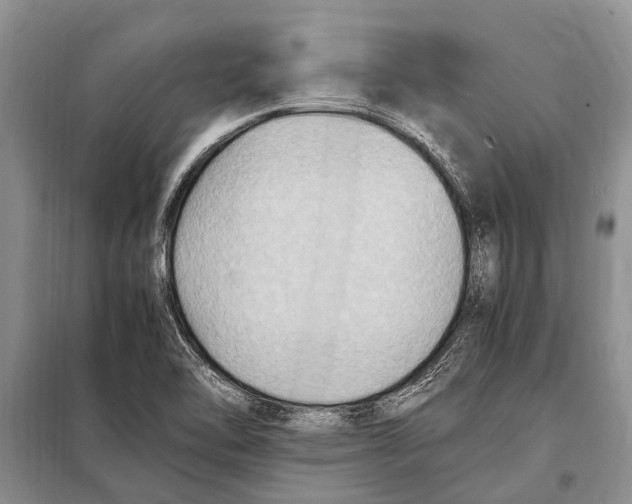 X0000097881462200804110937